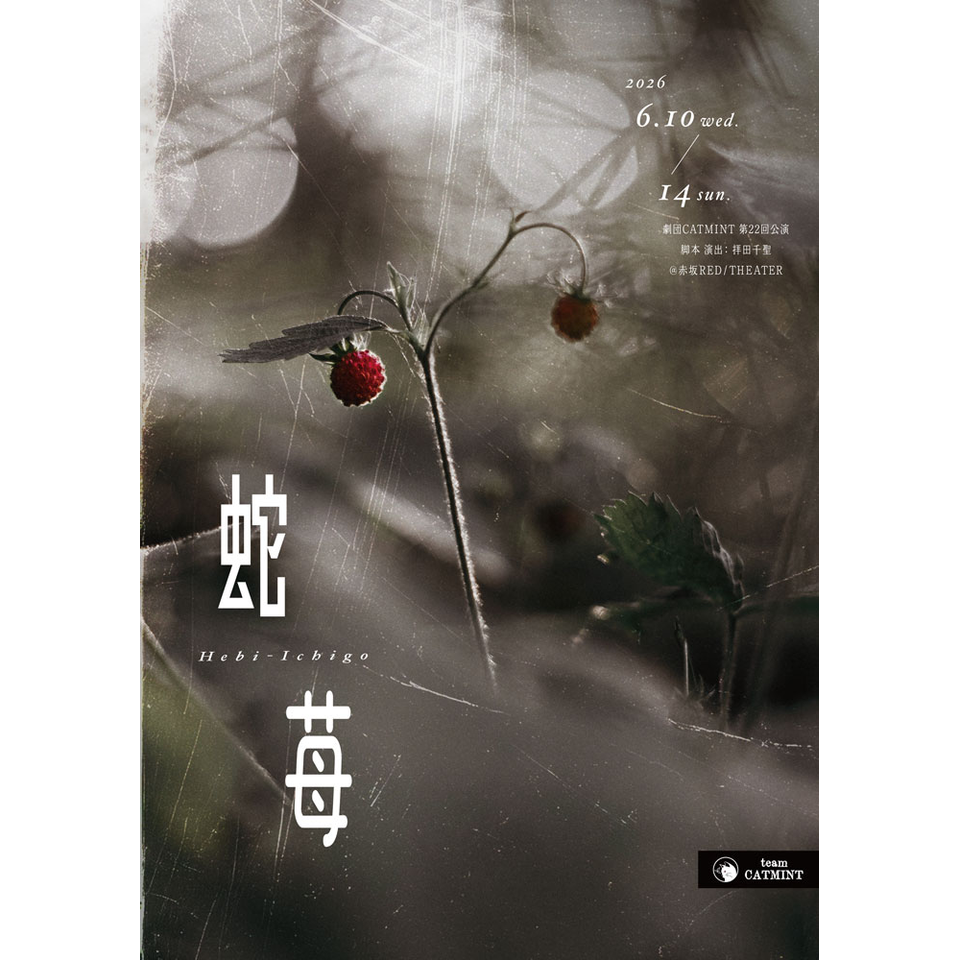蛇苺【カンフェティ7月号掲載】