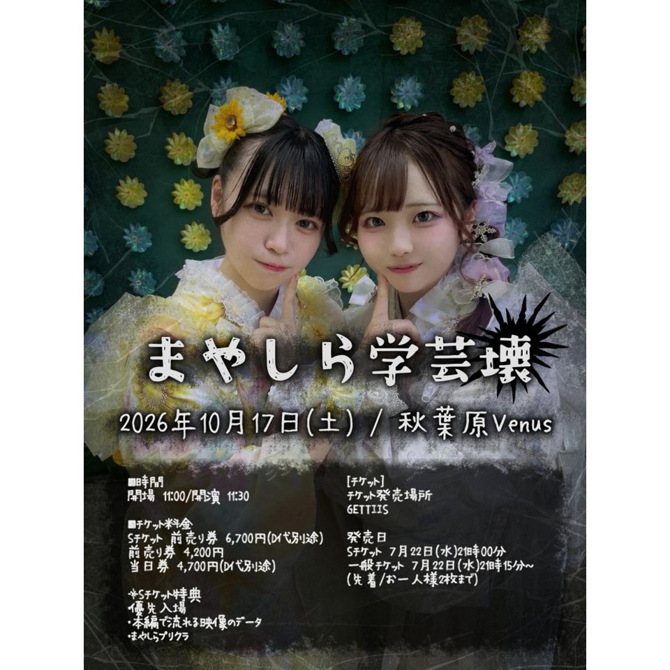 まやしら学芸壊 一般チケット